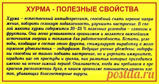 Хурма - полезные свойства