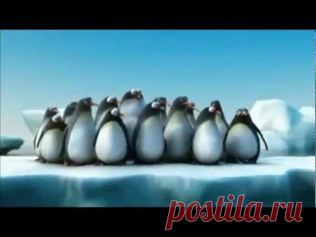 О важности КОМАНДЫ!!! Очень смешно, но ВЕРНО!!!