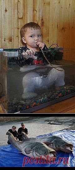 (53) Одноклассники