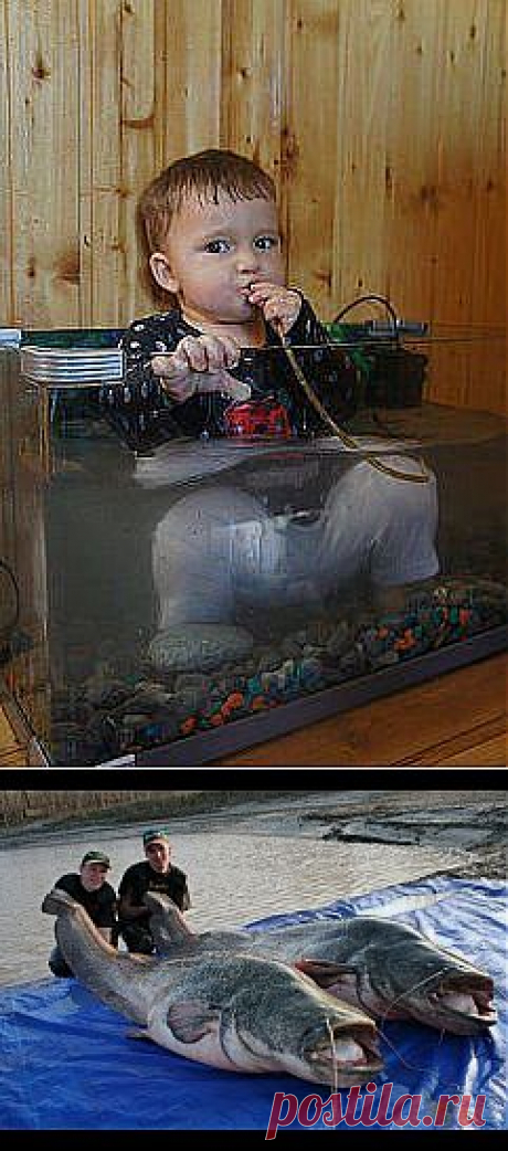 (53) Одноклассники