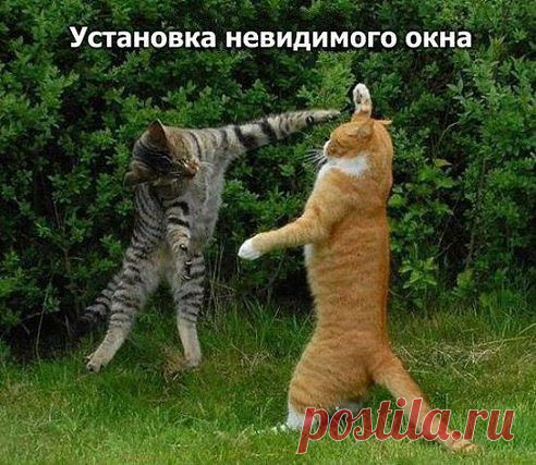танцуем