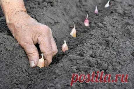 (47) Одноклассники