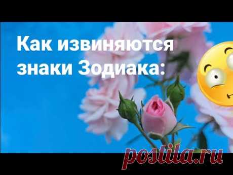 Как извиняются знаки Зодиака?  20562   Гороскоп