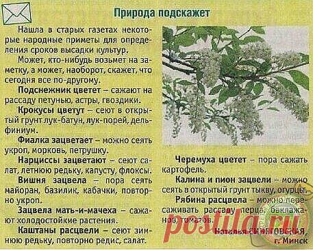 Природные подсказки.