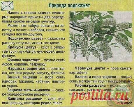 Природные подсказки.