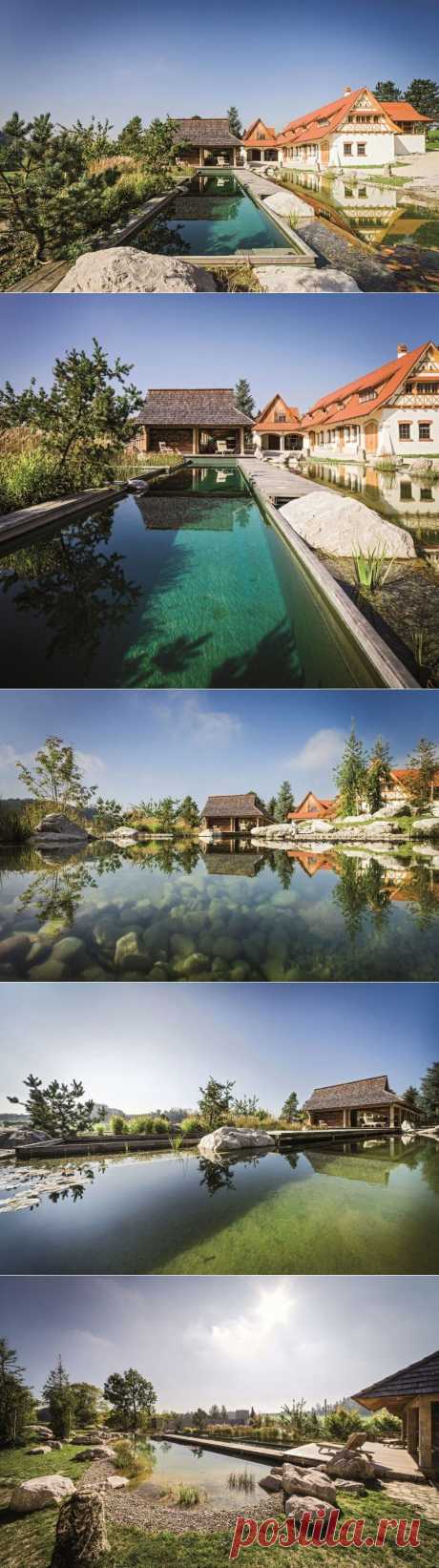 Natural Pool