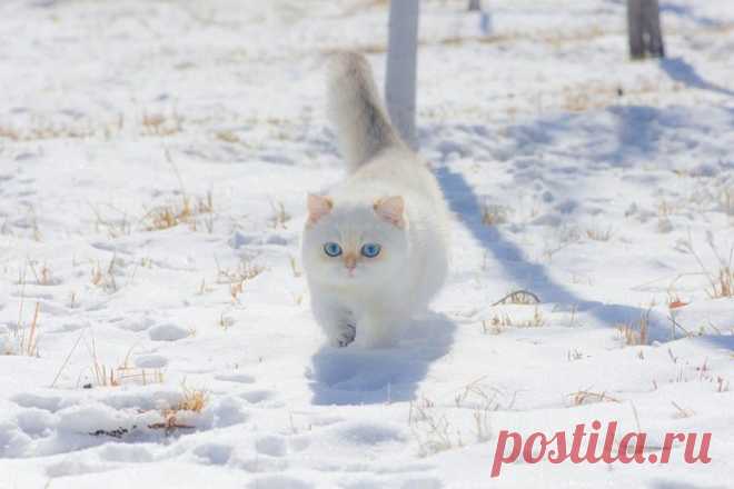 Тихая старость да редкая помощь по дому.