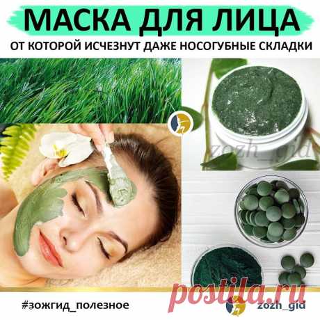 ЗОЖ 🔹️ ПП 🔸️ ФИТНЕС в Instagram: «Уникальная маска на основе желатина со спирулиной от носогубных складок. ⠀ Спирулина —​ это водоросль​ с потрясающим составом. Маска из…»