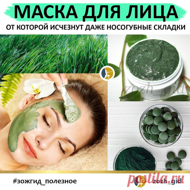 ЗОЖ 🔹️ ПП 🔸️ ФИТНЕС в Instagram: «Уникальная маска на основе желатина со спирулиной от носогубных складок. ⠀ Спирулина —​ это водоросль​ с потрясающим составом. Маска из…»