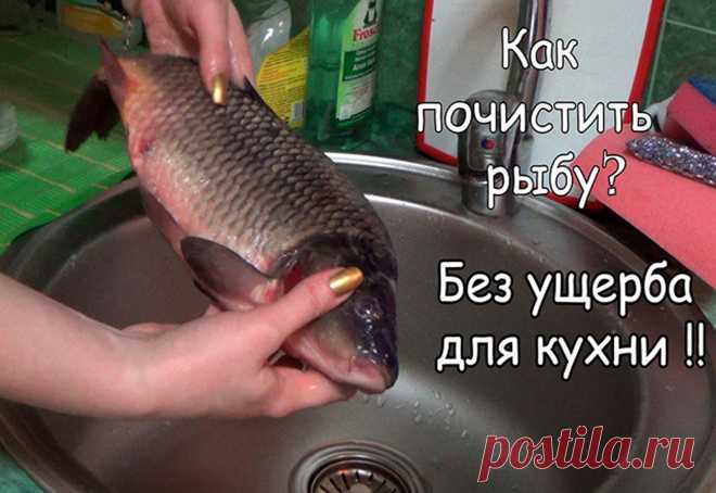 МИНТАЙ 