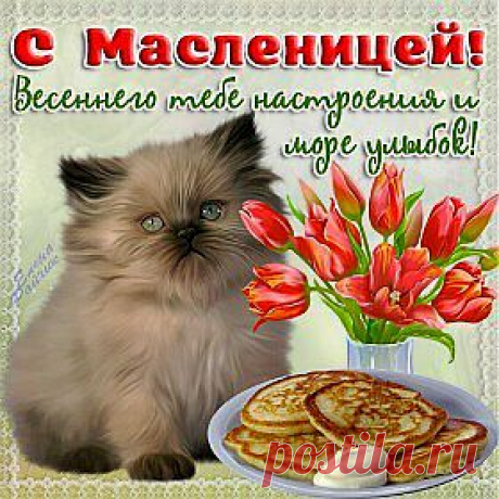 Мой Мир@Mail.Ru