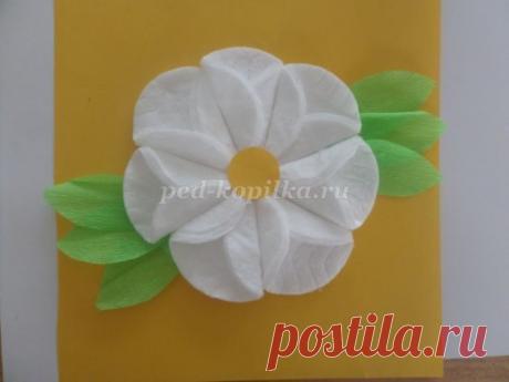 ​Самые разные аппликации с использованием ватных дисков