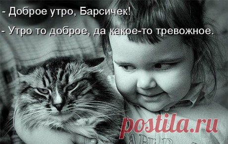 Девочка и котэ
