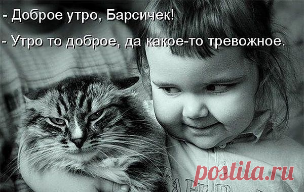 Девочка и котэ