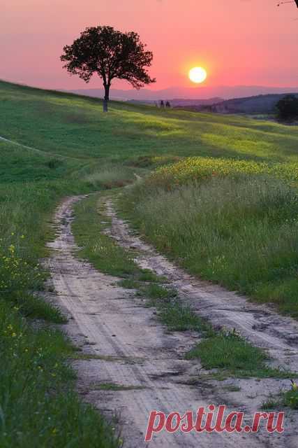 Tuscany sunset от пользователя ncs1984 на Flickr: Discover and save creative ideas