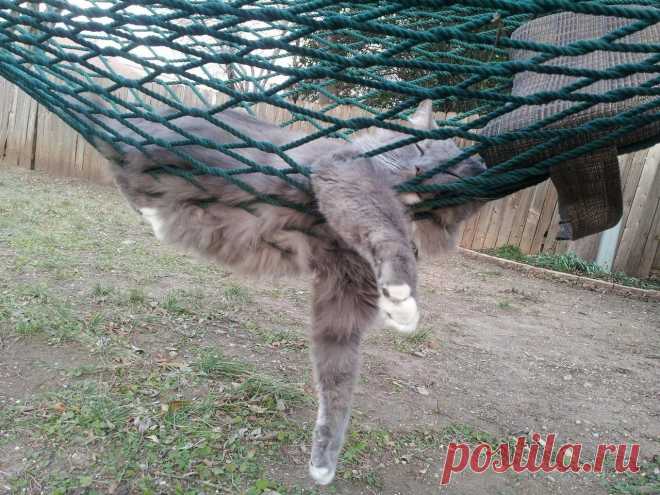 Берегите природу