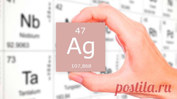 Сможете ли вы ответить на самые легкие вопросы ЕГЭ?