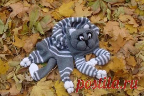 Котошарф..