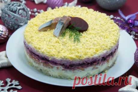 Сельдь под шубой классическая Сельдь под шубой классическая, это классика, которая всегда актуальна на любом праздничном столе.