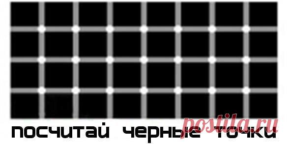 Сообщение (1)