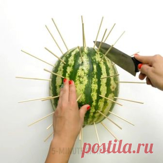 вера подвигина