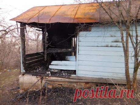 Шок, вы ДОЛЖНЫ это ВИДЕТЬ! - YouTube