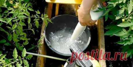 Помощники дачника из обычного продуктового магазина. — Садоводка