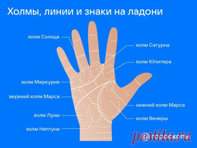 Хиромантия: можно ли узнать судьбу по линиям ладони