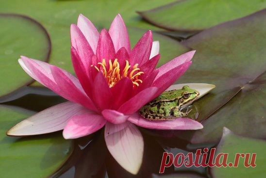 Фото дня на Яндекс.фотках
Красота - страшная сила!