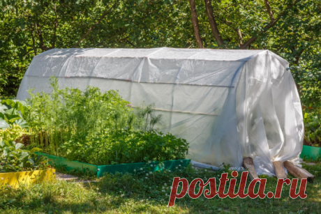 Как и из чего соорудить простой парник на даче