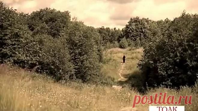 Житие преподобного Сергия Радонежского