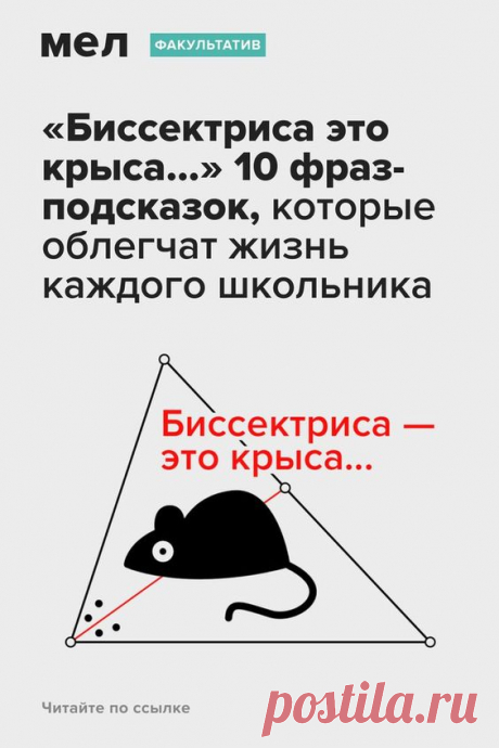 «Биссектриса это крыса…» 10 фраз-подсказок, которые облегчат жизнь каждого школьника