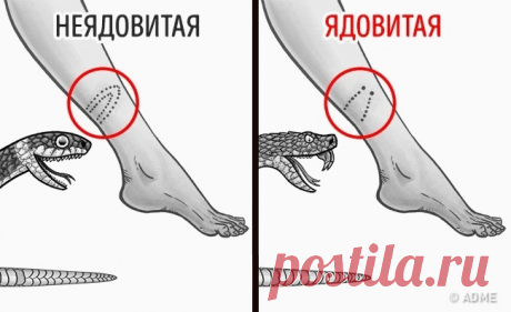 12 вещей, которые спасут вам жизнь в критической ситуации