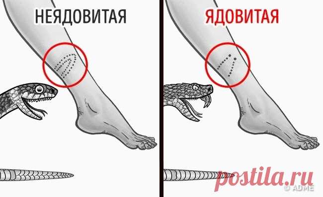 12 вещей, которые спасут вам жизнь в критической ситуации