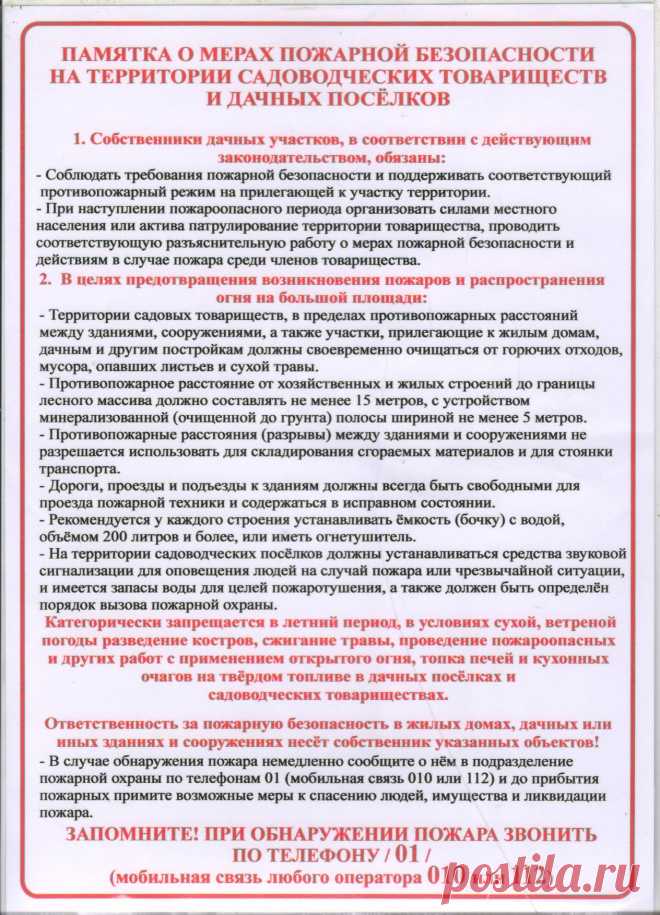 Дачники теперь обязаны обеспечивать пожарную безопасность на лесных участках