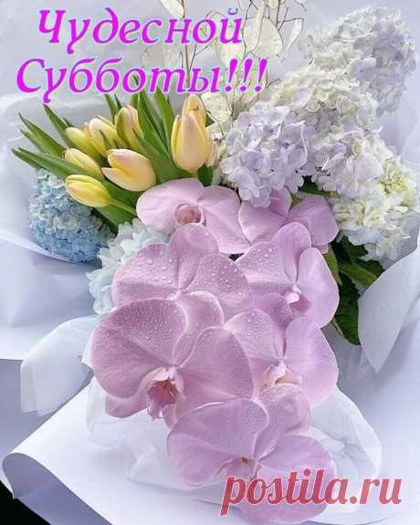Чудесной субботы!