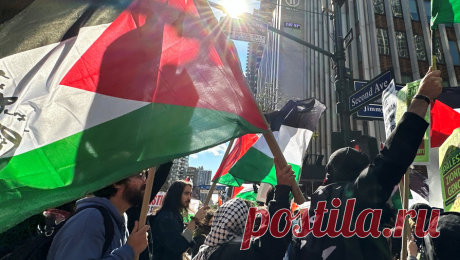 В Нью-Йорке вновь проходит акция в поддержку Палестины. В американском Нью-Йорке состоялась акция в поддержку Палестины, в ней приняли участие порядка 1000 человек. Об этом сообщает британская газета The Guardian. Согласно информации издания, демонстранты пришли с палестинскими флагами. ...