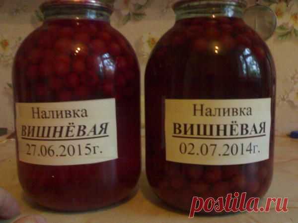 Домашняя фруктовая, ягодная наливочка / 7dach.ru