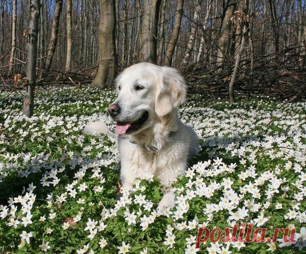 КРАСОТЫ ПРИРОДЫ