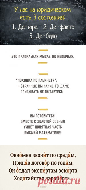Перлы преподавателей, которые не полезут в карман за словом