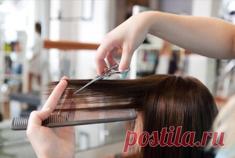 Когда лучше стричь волосы