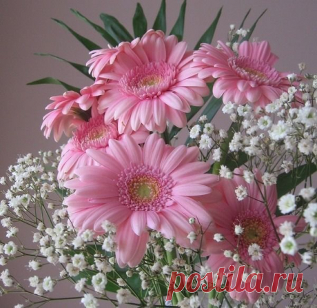 Мой Мир@Mail.Ru