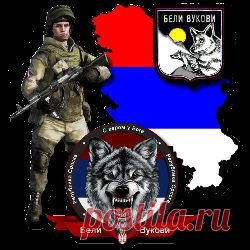 ВОЛКИ БЕЛЫЕ .