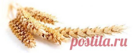 Очищаем печень, желчные пути, сосуды, восстанавливаем сон, улучшаем общее состояние.

Древние проверенные рецепты.

1. Овес неочищенный 1 ст. ложку залить на ночь 0,5 л воды (желательно фильтрованной). Если у вас есть склонность к повышенному артериальному давлению - добавить 1 ст. ложку перловой крупы.