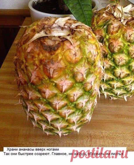 8 хитрых кухонных лайфхаков, о которых не знает даже твоя мама / Рукоделие