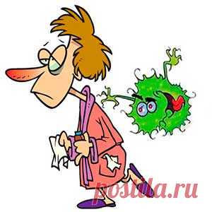 Вирус гриппа. Особенности инфицирования