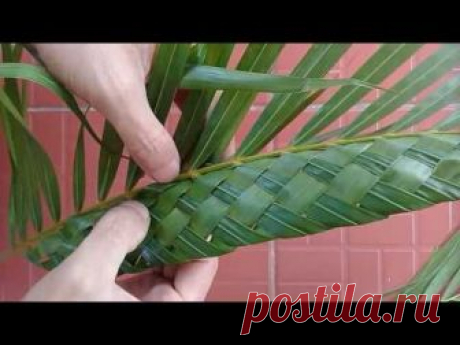 Đan Lá Dừa🌿🌿🌿