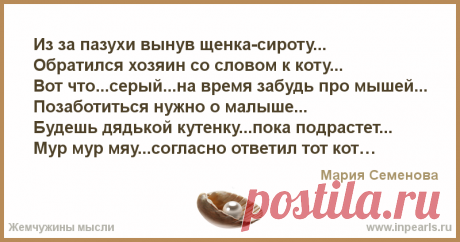 Из за пазухи вынув щенка-сироту...
Обратился хозяин со словом к коту...
Вот что...серый...на время забудь про мышей...
Позаботиться нужно о малыше....