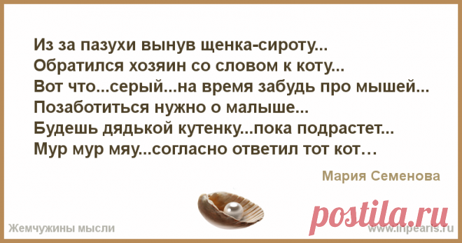 Из за пазухи вынув щенка-сироту...
Обратился хозяин со словом к коту...
Вот что...серый...на время забудь про мышей...
Позаботиться нужно о малыше....