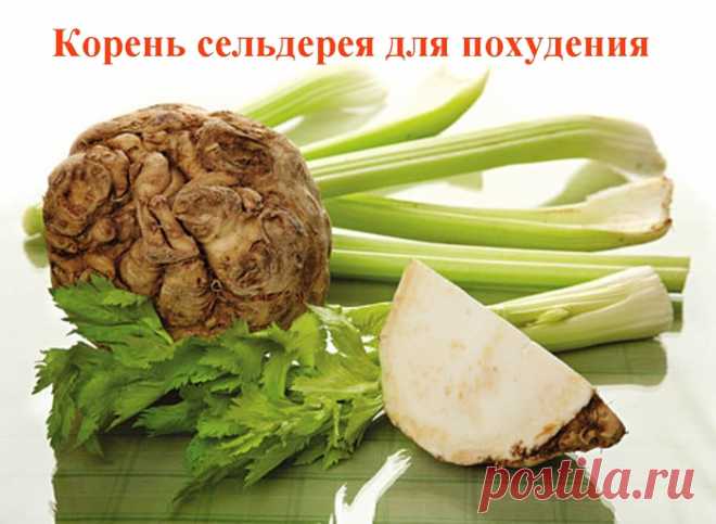 Корень сельдерея для похудения